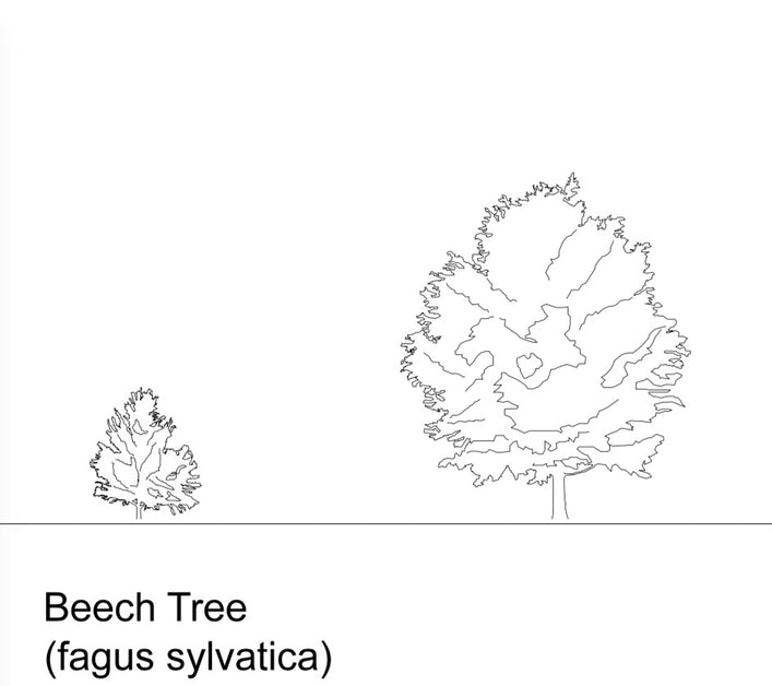 FIA CAD Blocks Trees [CT02]