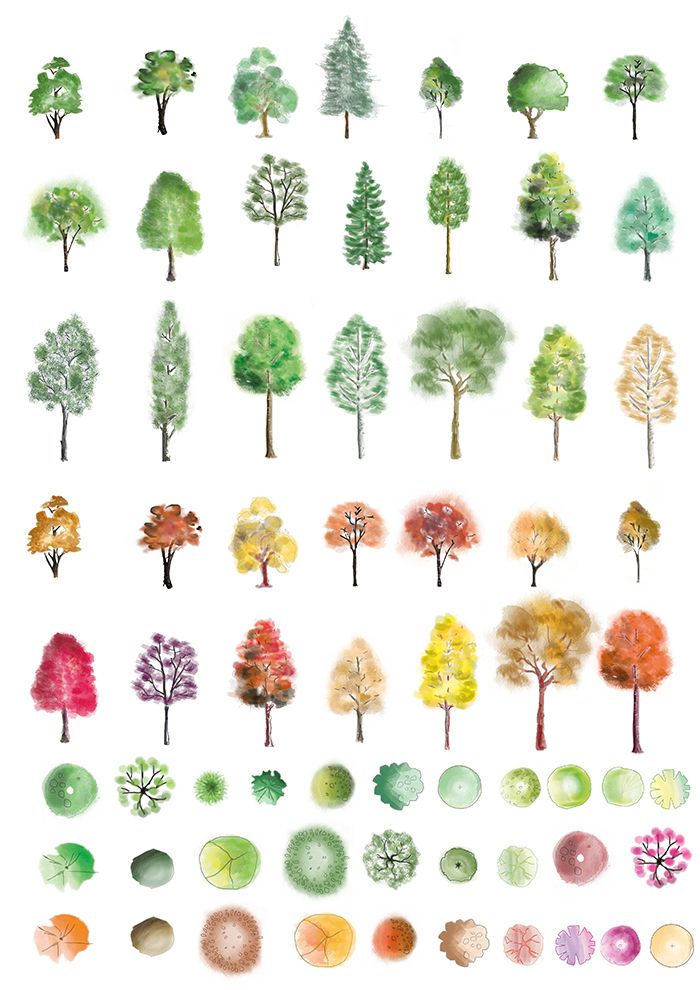 Multiple Tree Designs Big Tree Bundle – First In Architecture