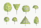 Hand Drawn Tree Elevations - Set 7